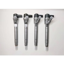 Injector 0445110190
