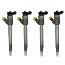 Injector 0445110749, 0445110954