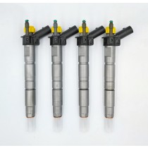 Injector 0445117017 