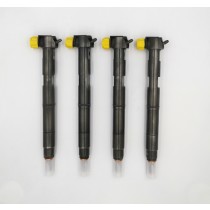 DELPHI Injector EMBR00203D