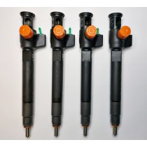 DELPHI Injector 28388960, 9674984080, 28602948