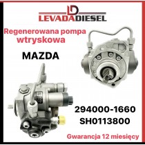 Fuel pump 294000-1660