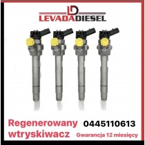 Injector 0445110613
