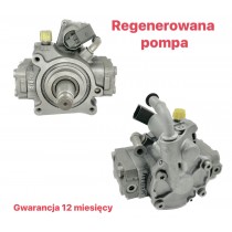 Fuel pump 5wS40891