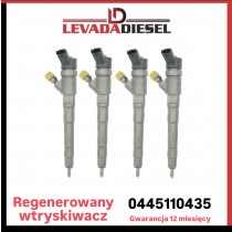 Injector 0445110435