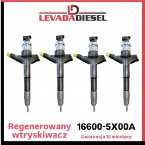 Injector 166005X00A, DCRI300300