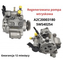 Fuel pump 5WS40254
