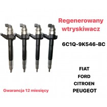 Injector 6C1Q-9k546-BC