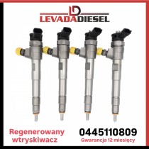 Injector 0445110809