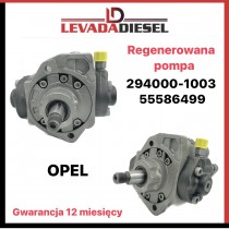 Fuel pump 294000-1003