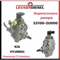 Fuel pump 33100-2U00