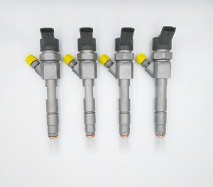 Injector 0445110110