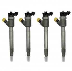 Injector 0445110749, 0445110954