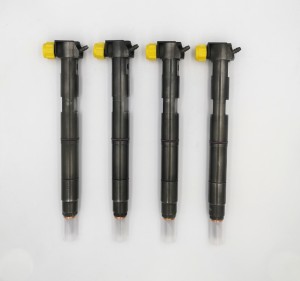 DELPHI Injector EMBR00203D