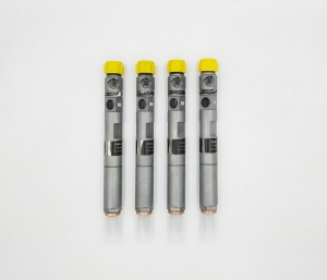 DELPHI Injector 28232248 EJBR01801a