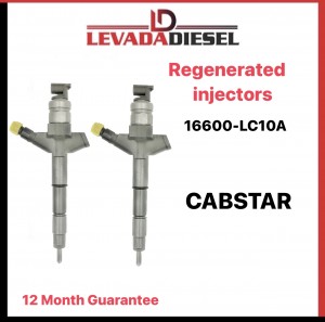 Injector 16600LC10A, DCRI300900, 2950500900