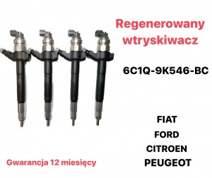 Injector 6C1Q-9k546-BC