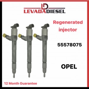 Injector 55578075, DCRI301030