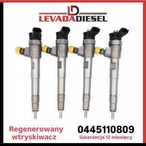 Injector 0445110809