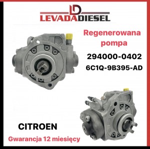 Fuel pump 294000-0402